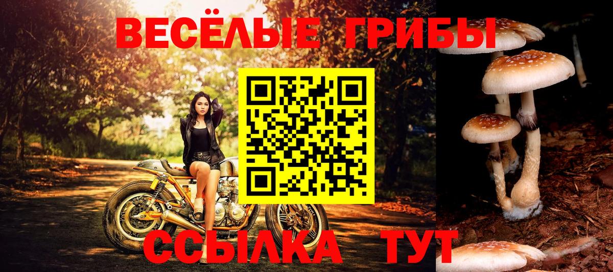 Псилоцибиновые грибы ЛСД Самара
