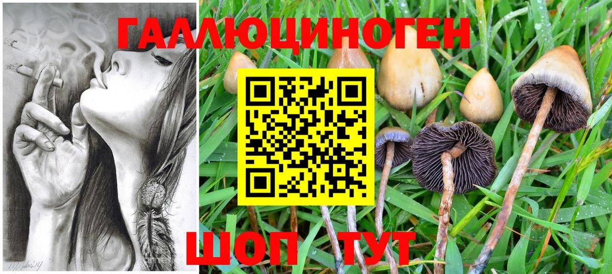 Самара  Галлюциногенные грибы Magic Shrooms  Вход с VPN  Псилоцибиновые грибы Psilocybe 